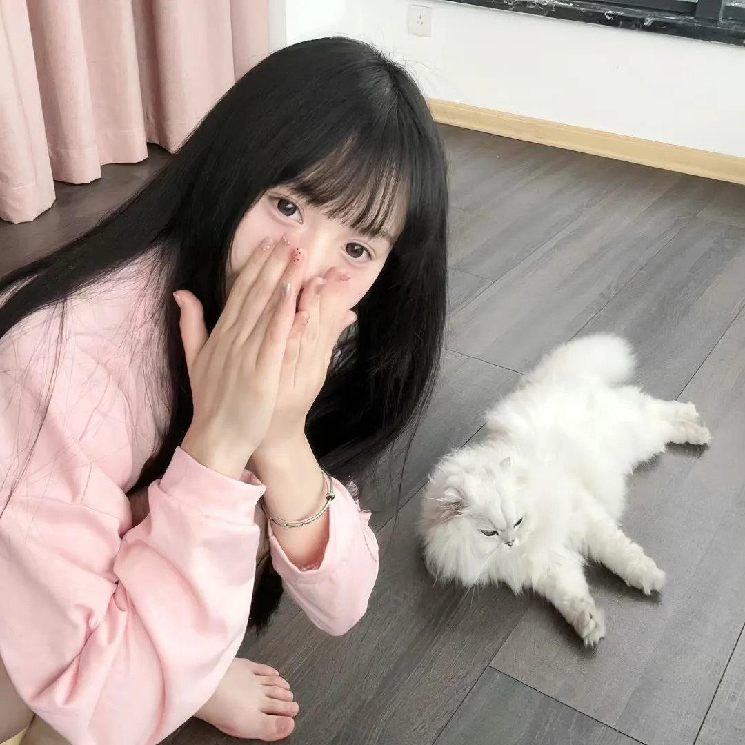功夫熊猫感恩节特辑