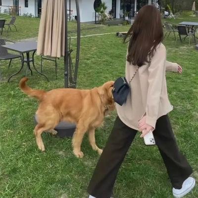 自然人性的力量
